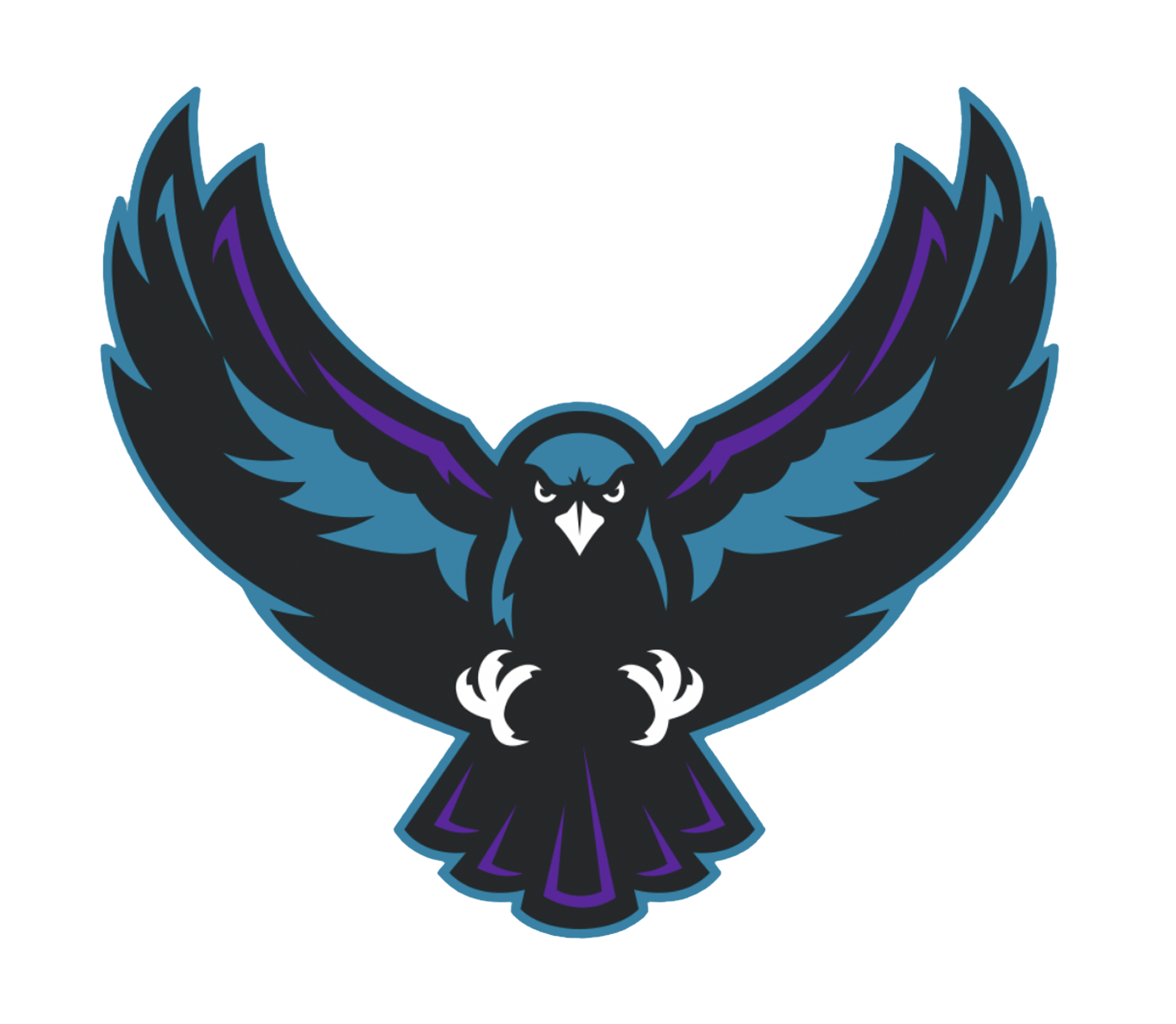 Rochester Knighthawks