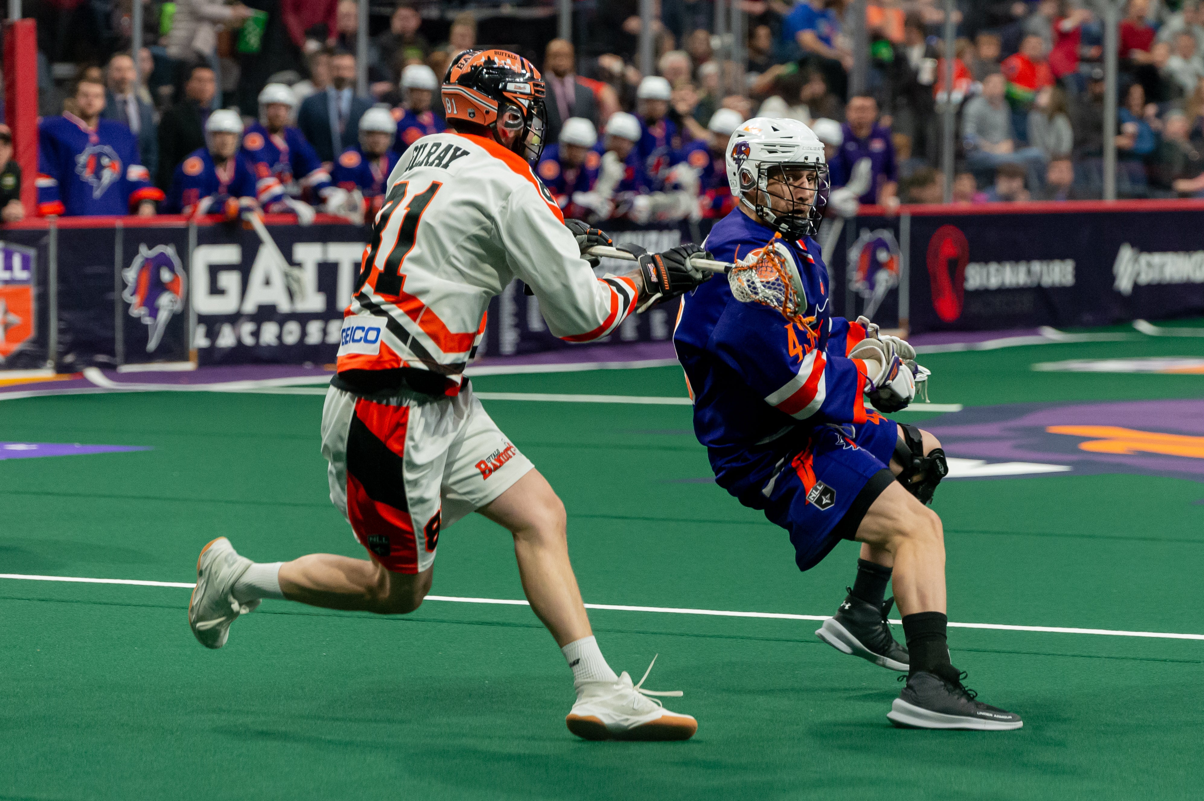 Halifax Thunderbirds Halifax Thunderbirds